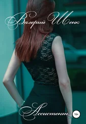 Валерий Шенк - Ассистент