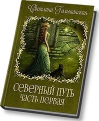 Светлана Гольшанская - Северный путь. Часть 1. Дорога без начала и конца