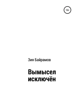 Зия Байрамов Вымысел исключён обложка книги