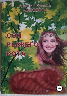 Татьяна Аксинина Сон рыжего кота обложка книги