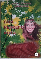 Татьяна Аксинина - Сон рыжего кота