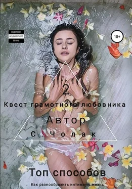 Степан Чолак Квест грамотного любовника 2 обложка книги