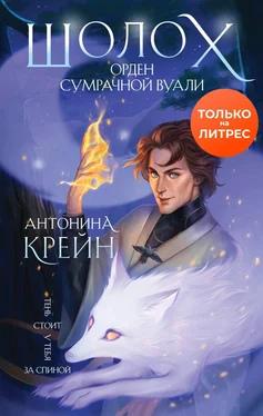 Антонина Крейн Шолох. Орден Сумрачной Вуали обложка книги