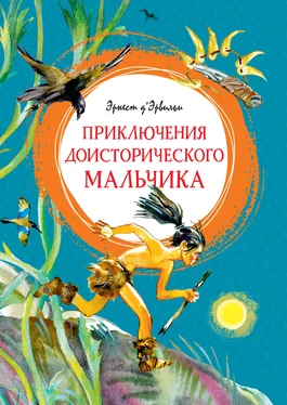 Эрнст Д'Эрвильи Приключения доисторического мальчика обложка книги