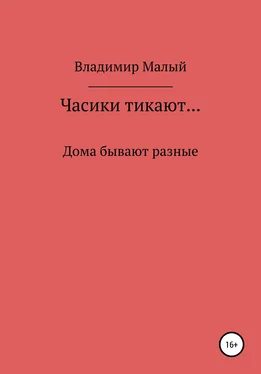 Владимир Малый Часики тикают… обложка книги