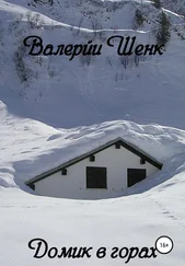 Валерий Шенк - Домик в горах