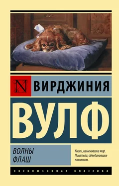 Вирджиния Вулф Волны. Флаш обложка книги