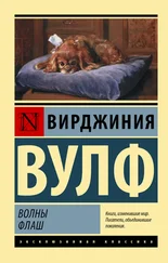 Вирджиния Вулф - Волны. Флаш