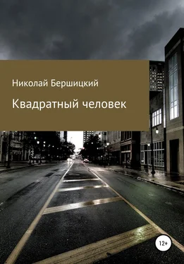 Николай Бершицкий Квадратный человек обложка книги