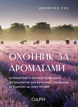 Доминик Рок Охотник за ароматами. Путешествие в поисках природных ингредиентов для культовых парфюмов от Guerlain до Issey Miyake обложка книги