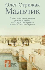 Олег Стрижак - Мальчик. Роман в воспоминаниях, роман о любви, петербургский роман в шести каналах и реках