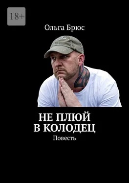 Ольга Брюс Не плюй в колодец. Повесть обложка книги