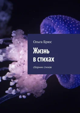 Ольга Брюс Жизнь в стихах. Сборник стихов обложка книги