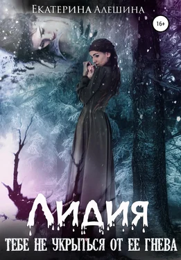 Екатерина Алешина Лидия обложка книги