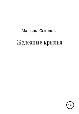 Марьяна Соколова Железные крылья обложка книги