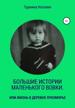 Наталия Туркина Большие истории маленького Вовки обложка книги