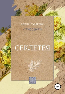 Елена Гордеева Секлетея обложка книги