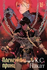 К. С. Пакат - Плененный принц