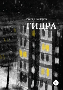 Руслан Башаров Гидра обложка книги