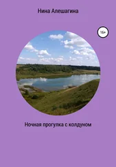 Нина Алешагина - Ночная прогулка с колдуном