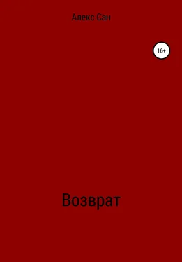 Алекс Сан Возврат обложка книги