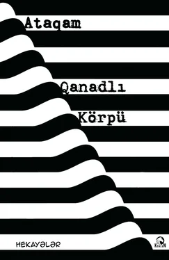 Ataqam Qanadlı körpü обложка книги