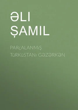 Əli Şamil Parçalanmış Türküstanı gəzərkən обложка книги