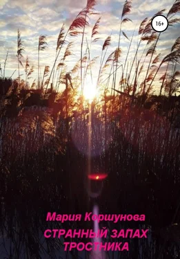 Мария Коршунова Странный запах тростника обложка книги