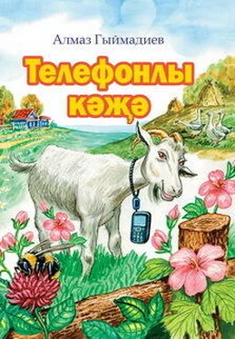 Алмаз Гимадеев Телефонлы кәҗә / Коза и сотовый телефон обложка книги