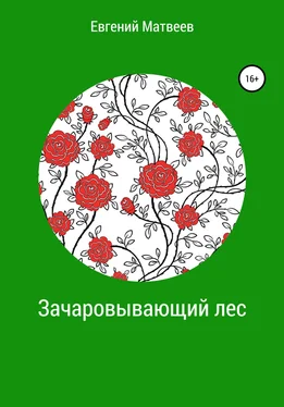 Евгений Матвеев Зачаровывающий лес обложка книги
