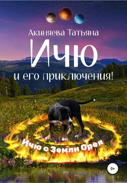 Татьяна Акиняева Ичю и его приключения! обложка книги