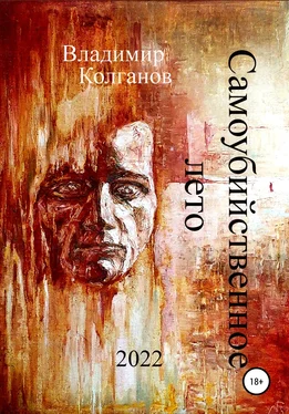Владимир Колганов Самоубийственное лето обложка книги