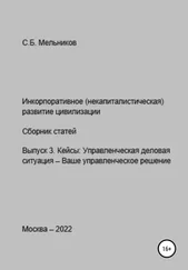 Сергей Мельников - Инкорпоративное (некапиталистическое) развитие цивилизации. Сборник статей. Выпуск 3. Кейсы - Управленческая деловая ситуация-Ваше управленческое решение