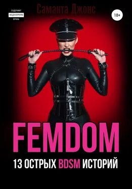 Саманта Джонс FEMDOM. 13 острых BDSM историй обложка книги