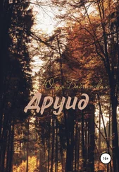 Юлия Бабчинская - Друид