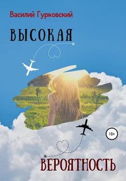 Василий Гурковский Высокая вероятность обложка книги