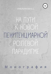 Никита Емельянов - На пути к новой пенитенциарной ролевой парадигме