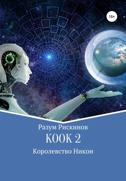 Разум Рискинов КООК 2. Королевство Никон обложка книги