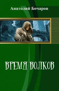 Анатолий Бочаров Время волков (СИ) обложка книги