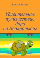 Елена Брагина - Удивительное путешествие Лори на Лойкратхонг