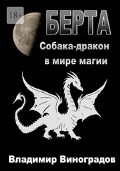 Владимир Виноградов - Берта. Собака-дракон в мире магии