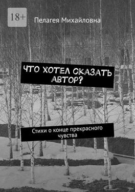 Пелагея Михайловна Что хотел сказать автор? Стихи о конце прекрасного чувства обложка книги