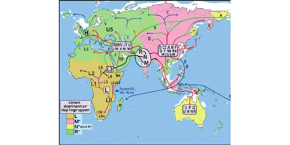 Map of early human migrations No wonder that the name Irkutsk can be - фото 34