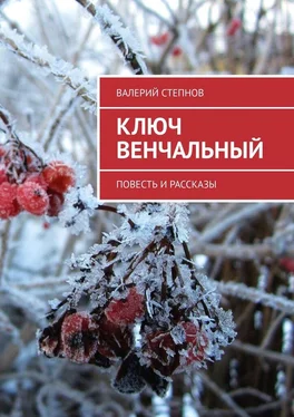 Валерий Степнов Ключ Венчальный. Повесть и рассказы обложка книги