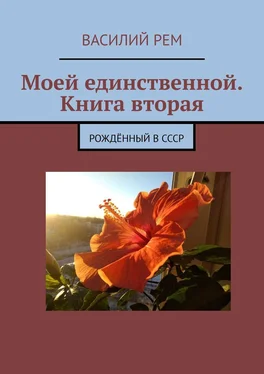 Василий Рем Моей единственной. Книга вторая. Девятый сборник обложка книги