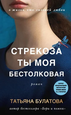 Татьяна Булатова Стрекоза ты моя бестолковая обложка книги