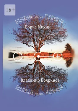 Борис Михин Ассоциации явных полярностей. Полярности явных ассоциаций обложка книги