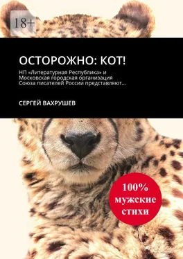 Сергей Вахрушев Осторожно: кот! обложка книги