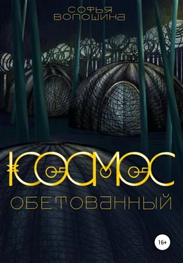 Софья Волошина Космос обетованный обложка книги