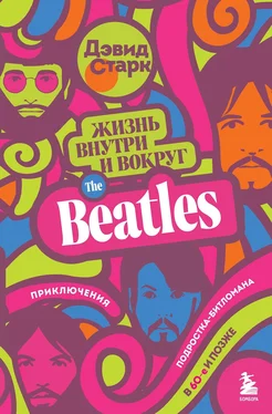 Дэвид Старк Жизнь внутри и вокруг the Beatles. Приключения подростка-битломана в 60-е и позже обложка книги